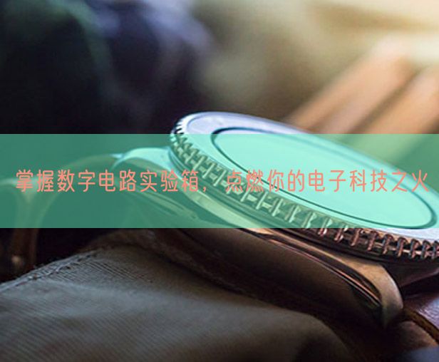 掌握數(shù)字電路實驗箱，點燃你的電子科技之火(圖1)