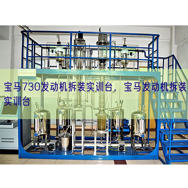 寶馬730發(fā)動機拆裝實訓臺，寶馬發(fā)動機拆裝實訓臺(圖1)